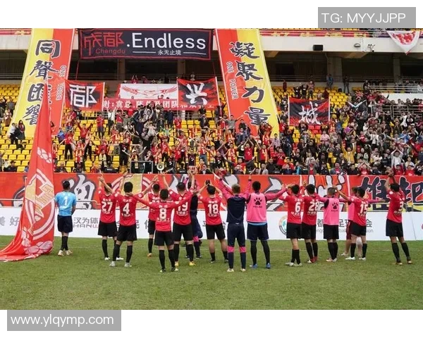 成都足球队速度之争引发热议球迷与专家各执己见