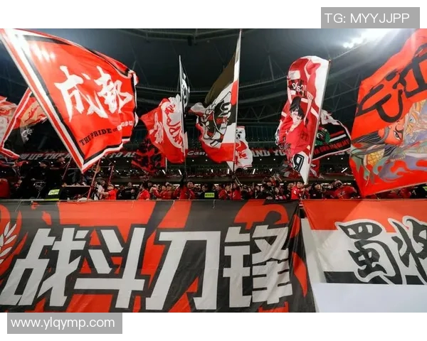 成都足球队转型之路的纪实探索与未来展望 成都足球队转型之路的纪实探索与未来展望