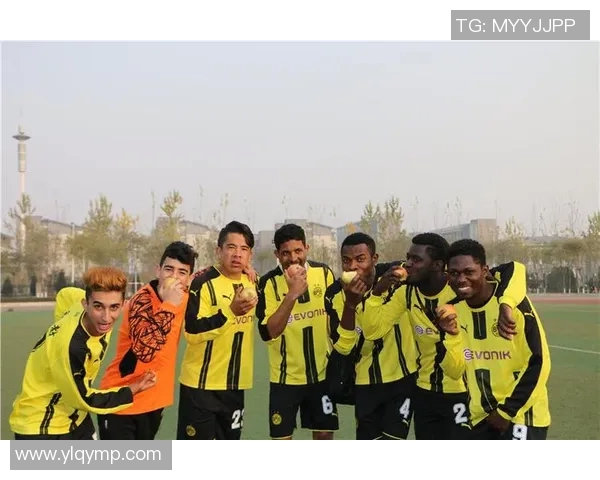 成都足球队荣登足球团队协作排行榜第五名展现团队精神与实力