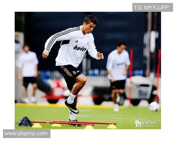 成都足球队耐力争议引发热议球迷与专家的观点碰撞与思考