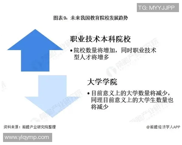 独家解析WE力量对比背后的深层影响与未来趋势