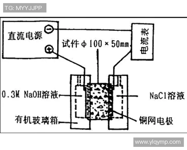 深圳排球队边路渗透战术分析及其对比赛结果的影响探讨