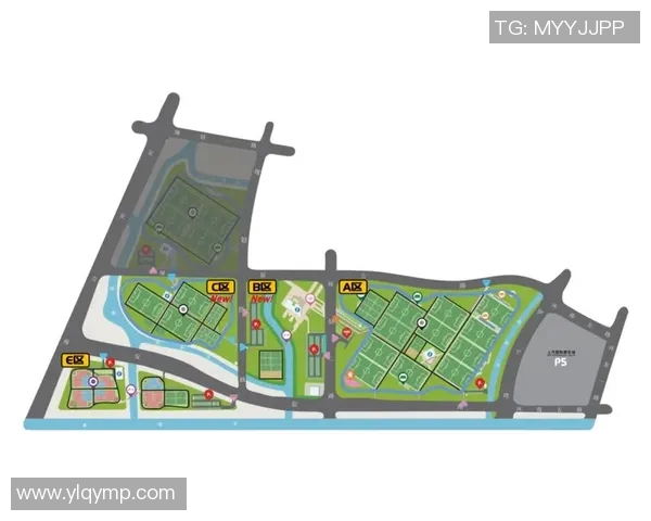 上海网球队区域防守策略解析与战术应用探讨