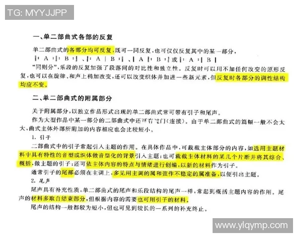 北京排球队在挑战赛中的团队协作表现分析与点评