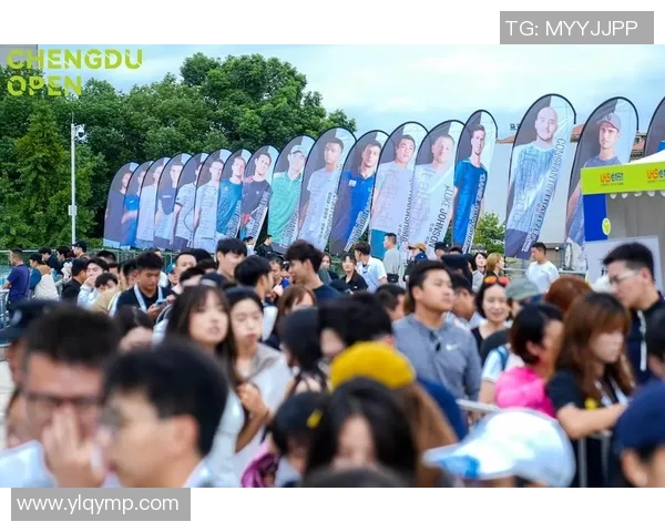 成都网球队的转型之路：深度解析网球运动的变革与发展