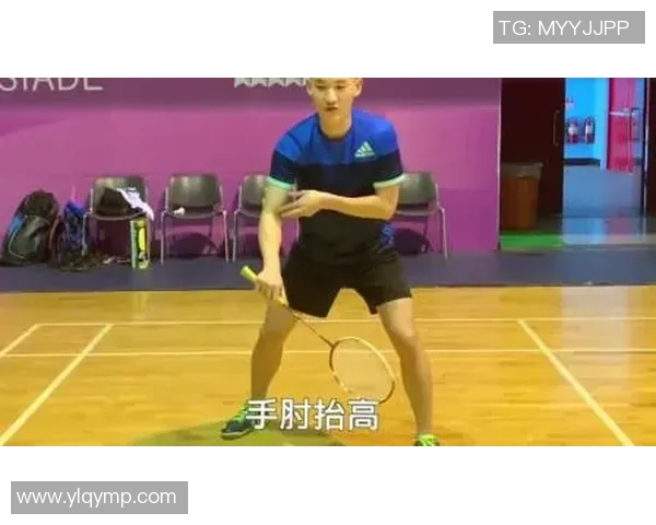 西安羽毛球队区域防守策略解析与战术应用探讨