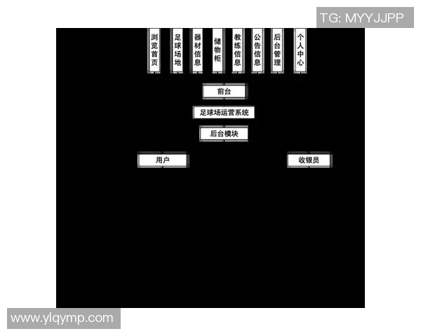 西安足球队战术解析与运营体系的创新发展探讨 西安足球队战术解析与运营体系的创新发展探讨