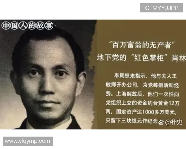 努涅斯的崛起与挑战：在足球世界中书写属于自己的传奇篇章