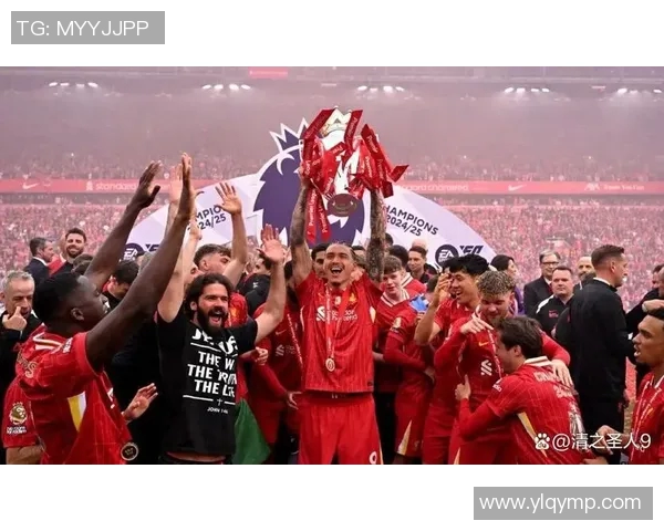 努涅斯在赛场上的崛起与挑战解析，未来能否成为足球新星的关键时刻