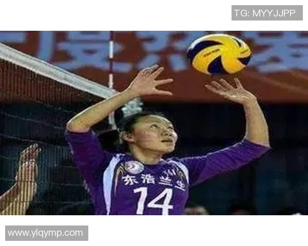 从零起步掌握排球战术全解析助你成为排球高手的必备指南MBA